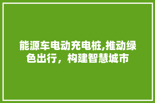 能源车电动充电桩,推动绿色出行，构建智慧城市