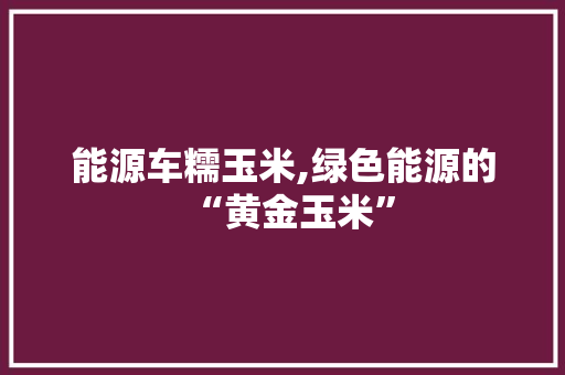 能源车糯玉米,绿色能源的“黄金玉米”