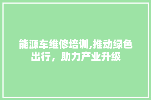 能源车维修培训,推动绿色出行，助力产业升级