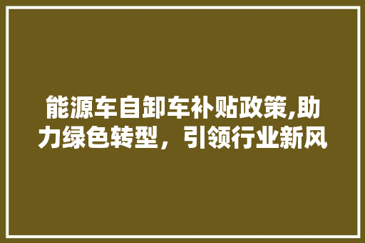 能源车自卸车补贴政策,助力绿色转型，引领行业新风向