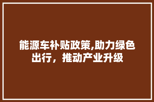 能源车补贴政策,助力绿色出行，推动产业升级