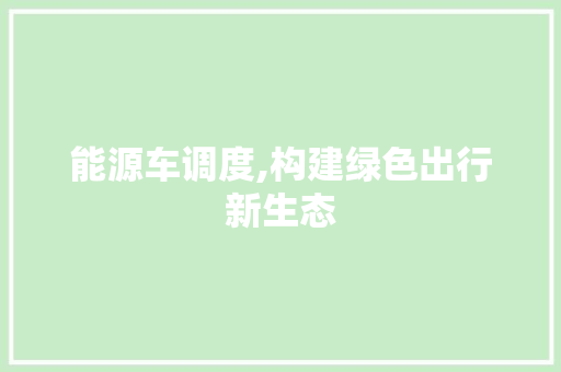 能源车调度,构建绿色出行新生态
