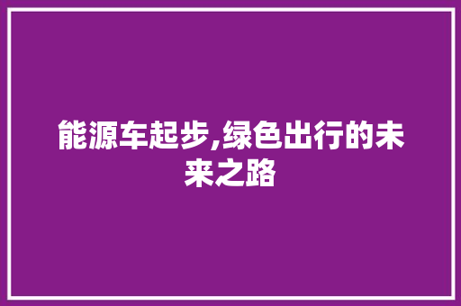 能源车起步,绿色出行的未来之路