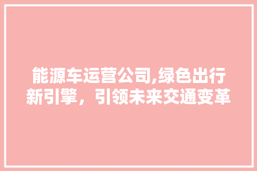能源车运营公司,绿色出行新引擎，引领未来交通变革