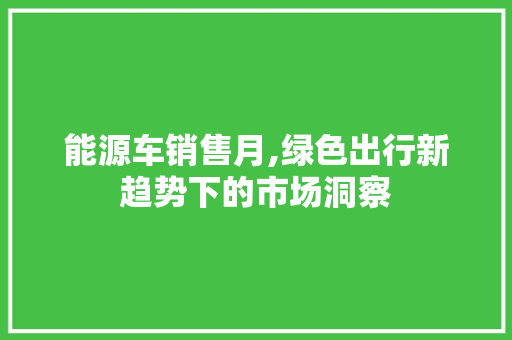 能源车销售月,绿色出行新趋势下的市场洞察