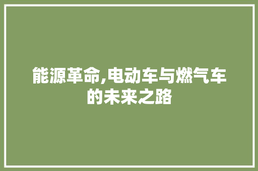 能源革命,电动车与燃气车的未来之路