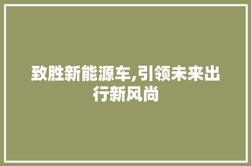 致胜新能源车,引领未来出行新风尚