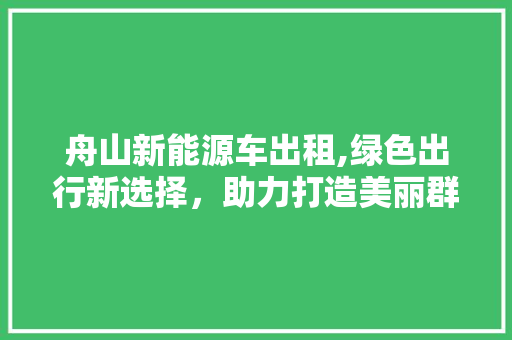 舟山新能源车出租,绿色出行新选择，助力打造美丽群岛