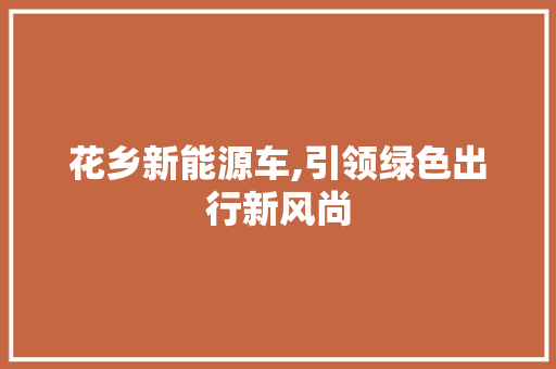 花乡新能源车,引领绿色出行新风尚