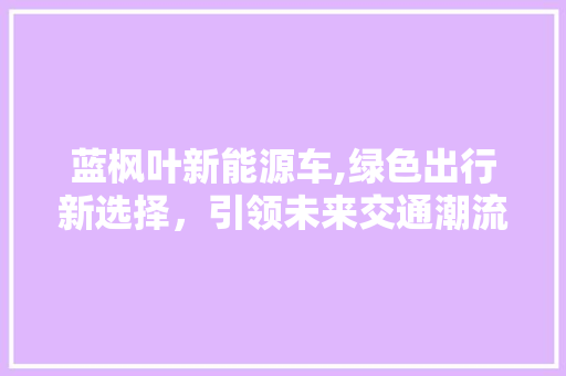 蓝枫叶新能源车,绿色出行新选择，引领未来交通潮流