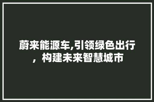 蔚来能源车,引领绿色出行，构建未来智慧城市