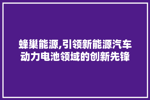 蜂巢能源,引领新能源汽车动力电池领域的创新先锋