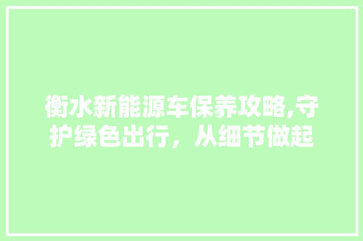 衡水新能源车保养攻略,守护绿色出行，从细节做起 新能源汽车