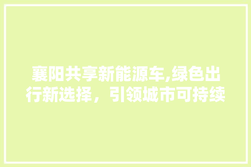 襄阳共享新能源车,绿色出行新选择，引领城市可持续发展