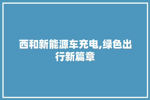 西和新能源车充电,绿色出行新篇章