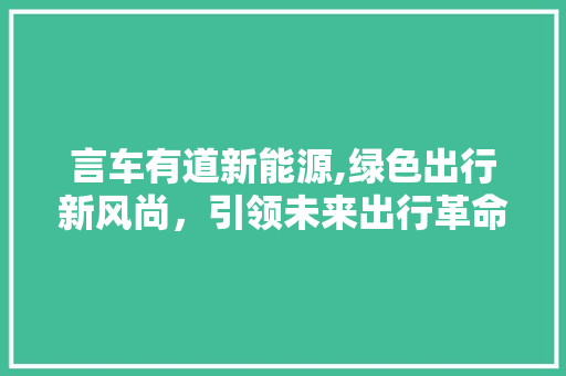 言车有道新能源,绿色出行新风尚，引领未来出行革命
