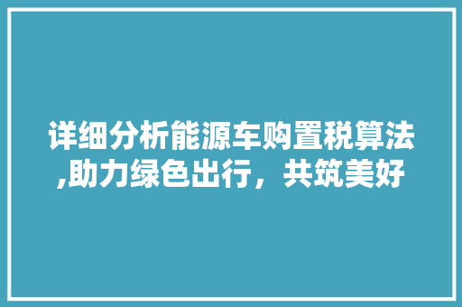 详细分析能源车购置税算法,助力绿色出行，共筑美好未来