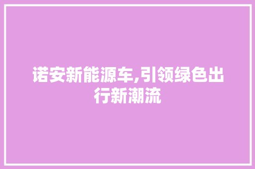 诺安新能源车,引领绿色出行新潮流