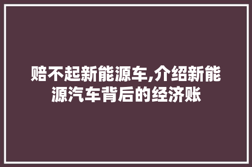 赔不起新能源车,介绍新能源汽车背后的经济账