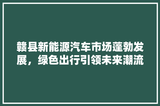赣县新能源汽车市场蓬勃发展，绿色出行引领未来潮流