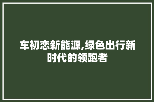 车初恋新能源,绿色出行新时代的领跑者