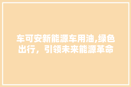 车可安新能源车用油,绿色出行，引领未来能源革命