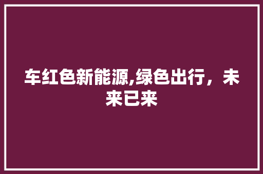 车红色新能源,绿色出行，未来已来