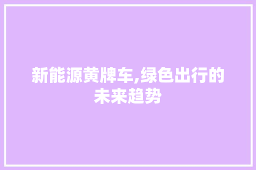 新能源黄牌车,绿色出行的未来趋势