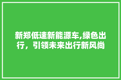 新郑低速新能源车,绿色出行，引领未来出行新风尚