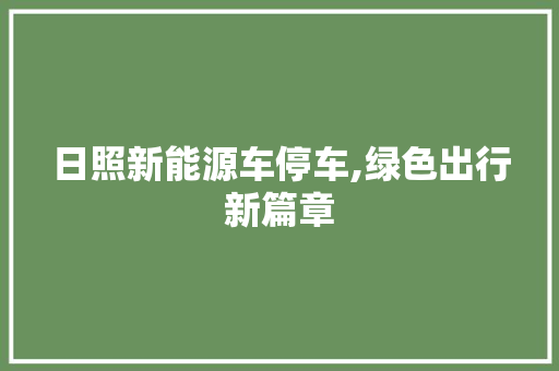 日照新能源车停车,绿色出行新篇章