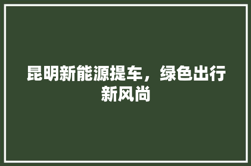 昆明新能源提车，绿色出行新风尚