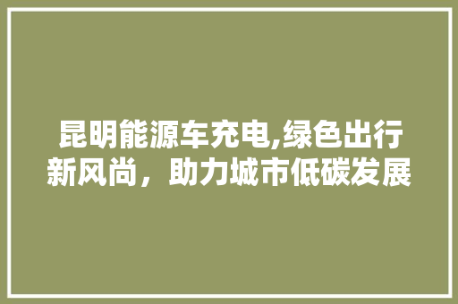 昆明能源车充电,绿色出行新风尚，助力城市低碳发展