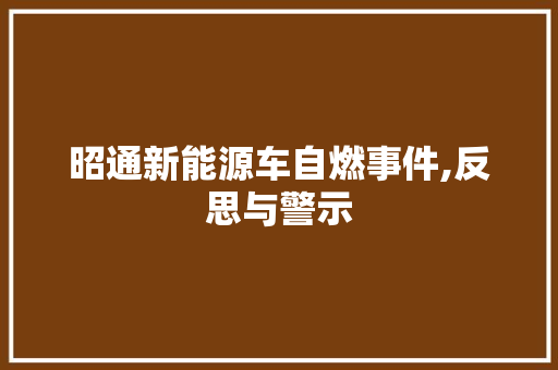 昭通新能源车自燃事件,反思与警示