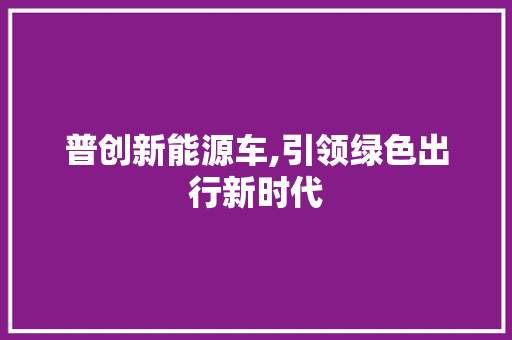 普创新能源车,引领绿色出行新时代