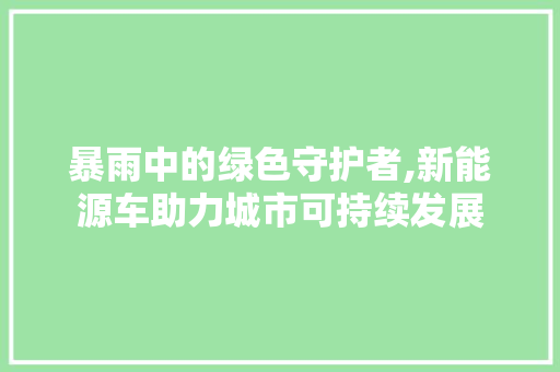 暴雨中的绿色守护者,新能源车助力城市可持续发展