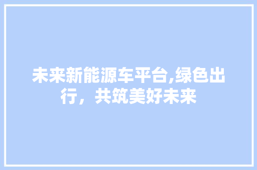 未来新能源车平台,绿色出行，共筑美好未来