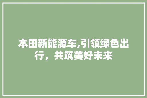 本田新能源车,引领绿色出行，共筑美好未来