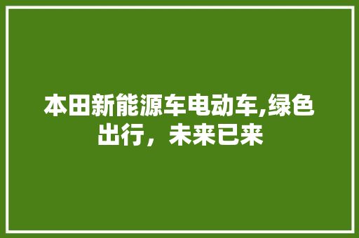本田新能源车电动车,绿色出行，未来已来