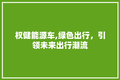 权健能源车,绿色出行，引领未来出行潮流