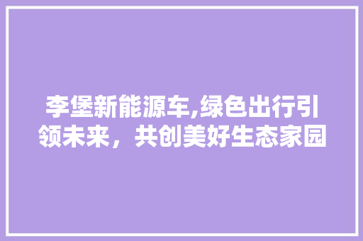 李堡新能源车,绿色出行引领未来，共创美好生态家园