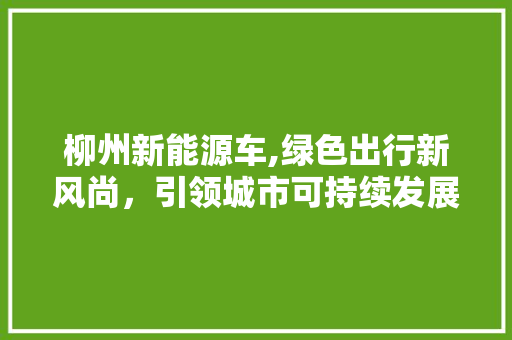 柳州新能源车,绿色出行新风尚，引领城市可持续发展