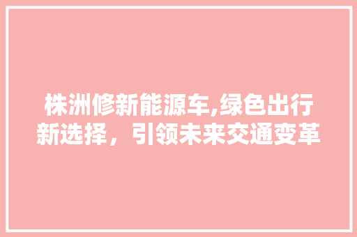 株洲修新能源车,绿色出行新选择，引领未来交通变革