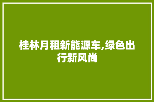 桂林月租新能源车,绿色出行新风尚