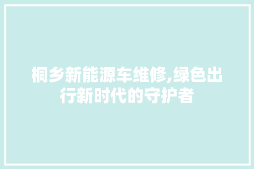 桐乡新能源车维修,绿色出行新时代的守护者