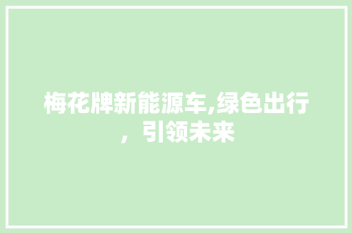 梅花牌新能源车,绿色出行，引领未来