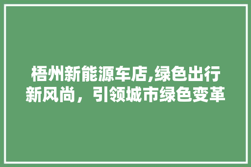 梧州新能源车店,绿色出行新风尚，引领城市绿色变革 底盘配件
