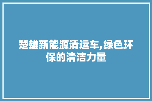 楚雄新能源清运车,绿色环保的清洁力量