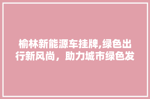 榆林新能源车挂牌,绿色出行新风尚，助力城市绿色发展