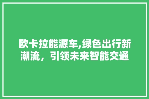 欧卡拉能源车,绿色出行新潮流，引领未来智能交通
