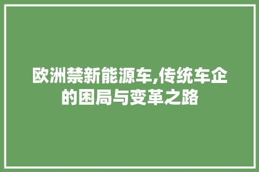 欧洲禁新能源车,传统车企的困局与变革之路